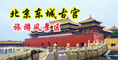 群交多洞齐插在线观看中国北京-东城古宫旅游风景区